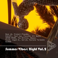 VA - Summer Vibes Night Vol.2 [SVN02]