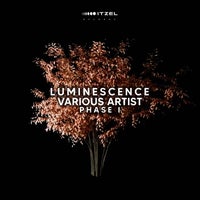 VA - LUMINESCENCE Various Artist Phase I [Itzel Records]