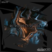 VA - Retrospective 2021 STU177