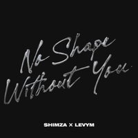 Shimza & LevyM - No Shape Without You album artwork