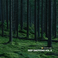 VA - Deep Emotions, Vol. 2 [FM046LP]