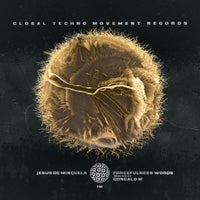 Jesus De Minguela - Woods (Goncalo M Remix) album artwork