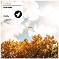 Amir Ashaeri - Love Is All [Alveda Deep]