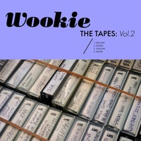 Wookie - Galiium album artwork