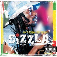 Sizzla - Ain't Gonna See Us Fall album artwork