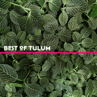 VA - Best of Tulum 2023 [In The Cause]