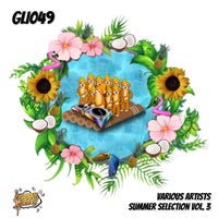 VA - Various Artists Summer Selection Vol. 3 GLI049