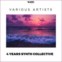 VA - 4 Years Synth Collective [Synth Collective]