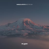 VA - Best Of 2021 [3AV057LP]