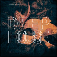 VA - Deep-House Carnival, Vol. 4 [Esta Caliente]