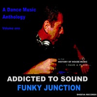 Funky Junction & KC Flight - Voices album artwork