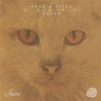 Dosem & Prok & Fitch - Doors album artwork