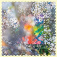 Four Tet - Insect Near Piha Beach album artwork