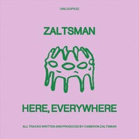 Zaltsman - The Other Side Is Greener album artwork