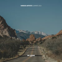 VA - Best Of 3rd Avenue _ Summer 2022 [3AV062LP]