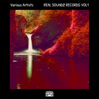VA - Real Soundz Records, Vol. 1 [REAL SOUNDZ]