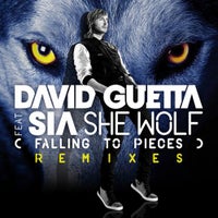 David Guetta - She Wolf (Falling to Pieces) [feat. Sia] [Extended] album artwork