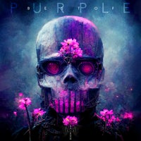 VA - Best of Purple [BLRMPURPLE017]