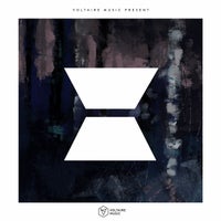 VA - Voltaire Music Pres X [VOLTCOMP1013] [FLAC]