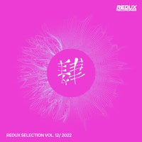VA - Redux Selection Vol. 12 2022 [Redux Digital]