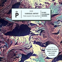 VA - Too Much To Match PGR045