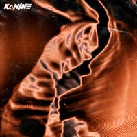 Kanine - Get Down album artwork