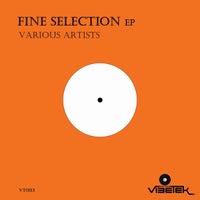 VA - Fine Selection - [Vibetek Records]