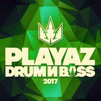 Sub Zero & DJ Limited - Vibrations album artwork