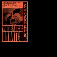 VA - Unwitch - As the Voice Dies Out [Leyla Records]
