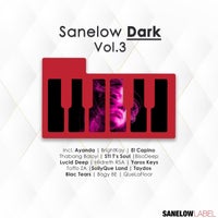 VA - Sanelow Dark Vol. 3 - (Sanelow Label)