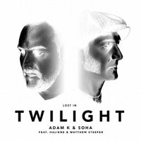 Adam K, Soha, Matthew Steeper & HALIENE - Twilight Vs. Breathe (Club Edit) album artwork