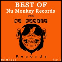 VA - Best Of Nu Monkey Records 2022 Part 1 BNMR221