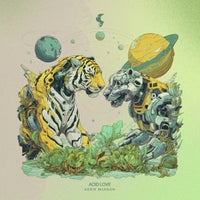 Addie Manson - Acid Love (Extended Mix) album artwork