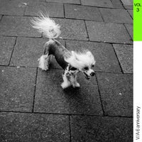 VA - Panal Records - V.A. (6 Anniversary), Vol. 3 [Panal Records]