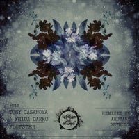 Tony Casanova & Frida Darko - Flopster (DETMOLT Remix) album artwork