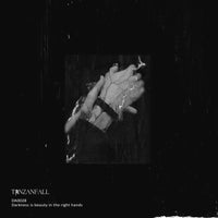 Tanzanfall - Darkness is Beauty in the Right Hands album artwork