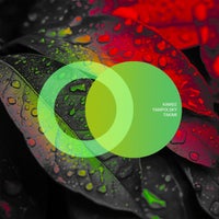 Kinree - Takimi album artwork