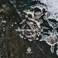 VA - Vibrant Vibeland 17 ST328