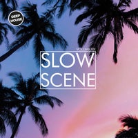 VA - Slow Scene Vol. 6 [Tronic Soundz]