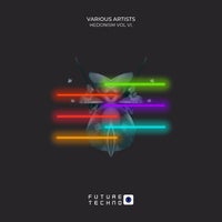VA - Hedonism Vol VI. [Future Techno Records]