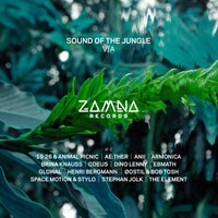 VA - Sound of the Jungle ZR001 ZAMNA Records