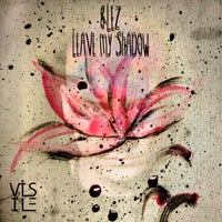 &lez - Leave My Shadow - (Visile Records)