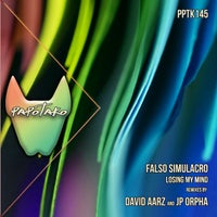 Falso Simulacro - Losing My Mind [Papotako Records]