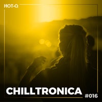 VA - Chilltronica 016 [LW Recordings]