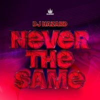 DJ Hazard - It's a Secret album artwork
