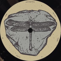 DJ Life & Reflex Blue - Warthog album artwork