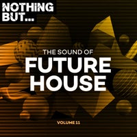 VA - Nothing But... The Sound of Future House, Vol. 11 [NBTSOFH11]