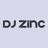 DJ Zinc - Wile Out (feat. Ms. Dynamite) album artwork