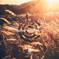 VA - Vibrant Vibeland 16 [ST321]