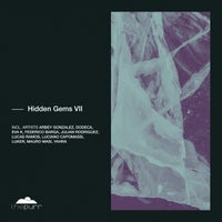 VA - Hidden Gems VII PURR376